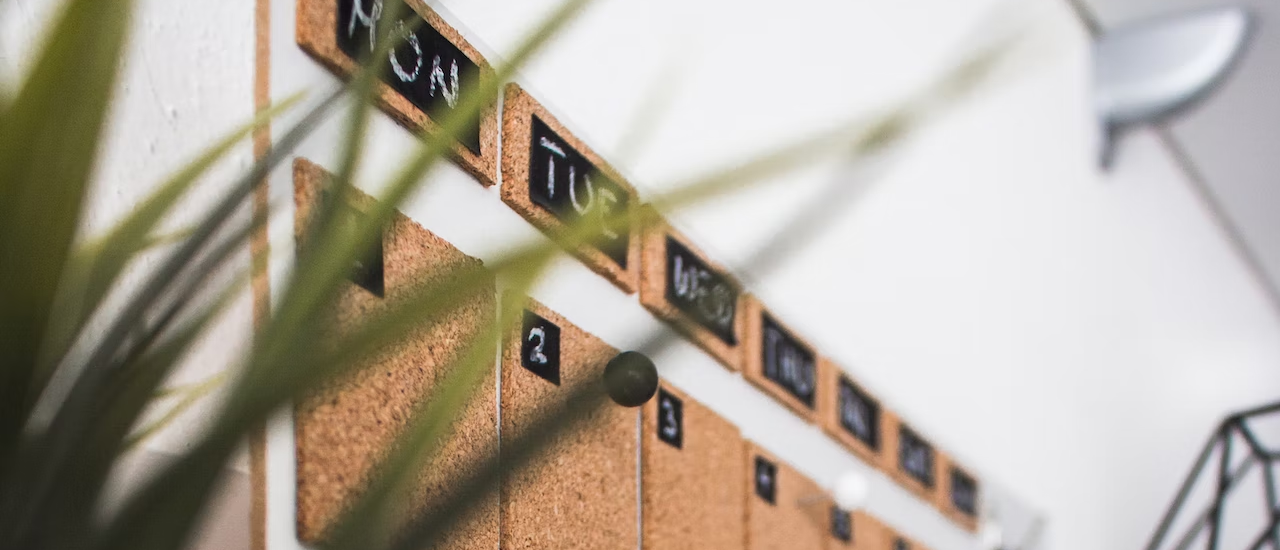 Media literacy: everyday digital skills